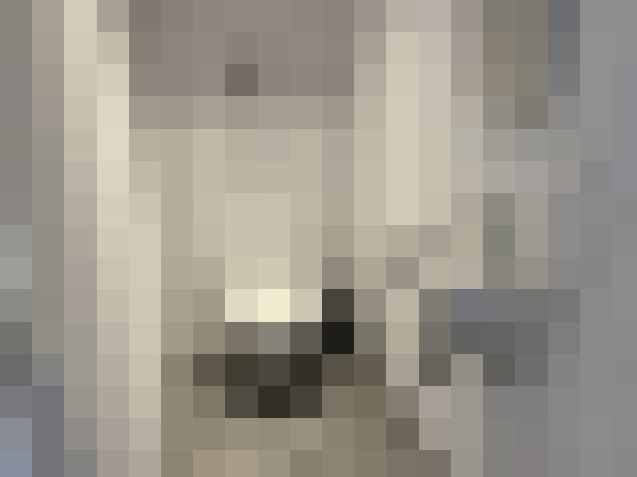  / #12