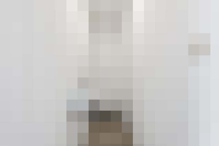  / #21