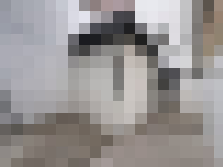  / #8