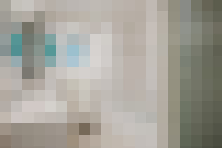  / #17