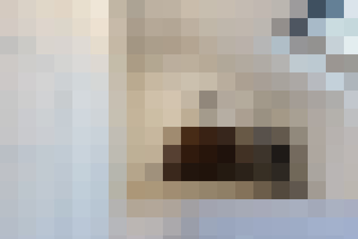  / #16