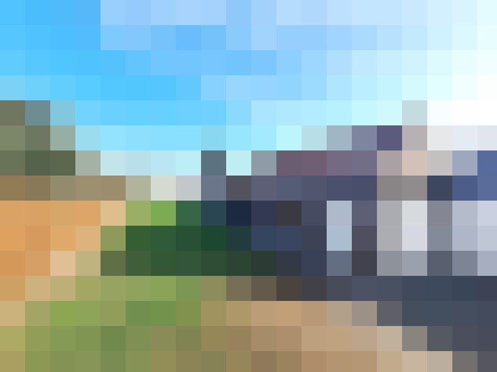  / #15