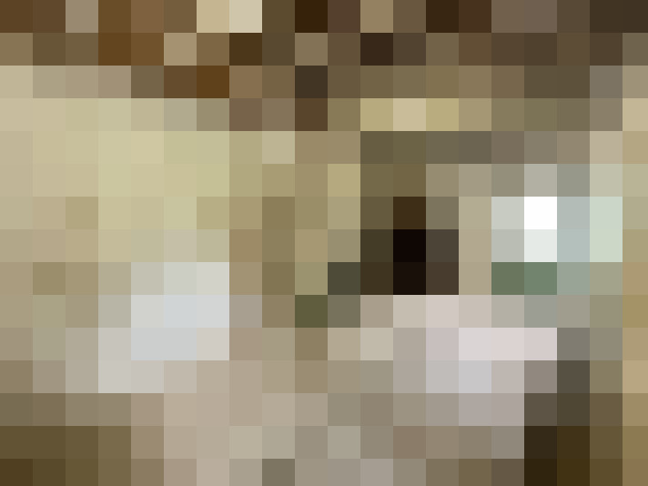  / #19