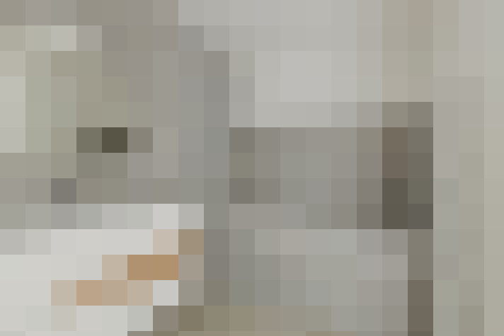 / #16