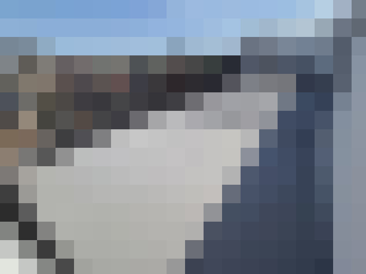  / #13