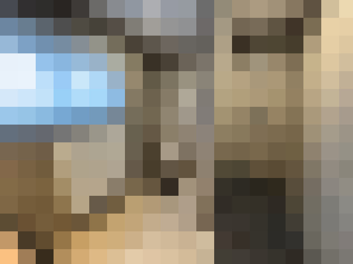  / #16