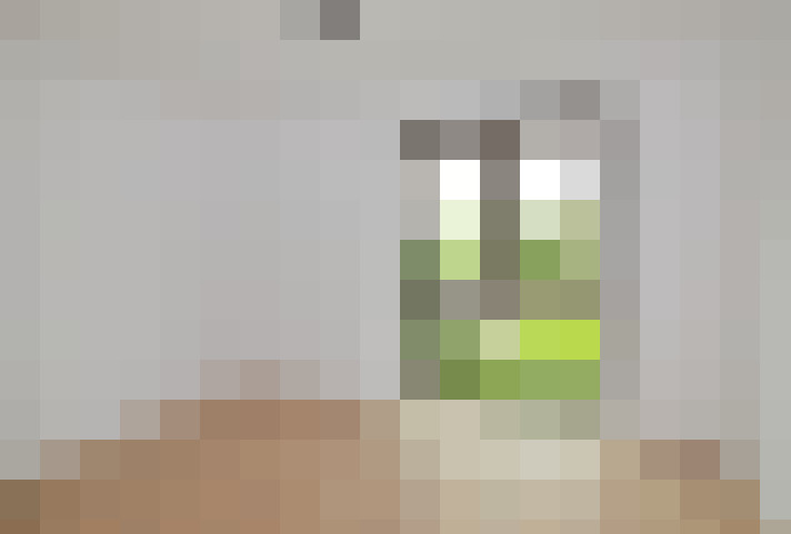 / #7