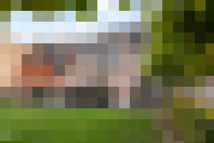  / #11