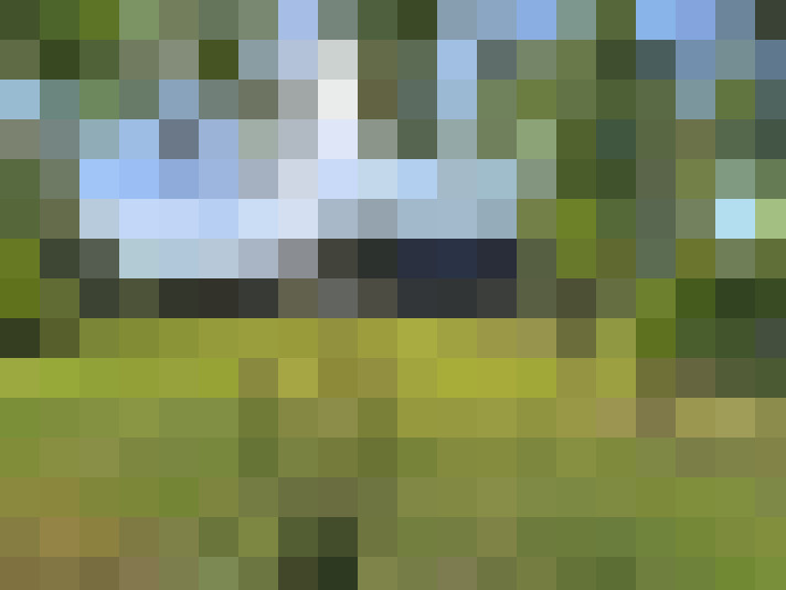  / #19