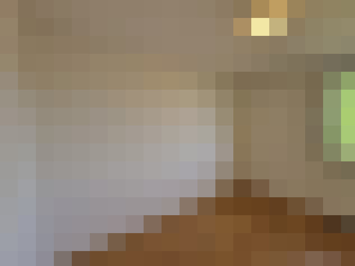  / #19