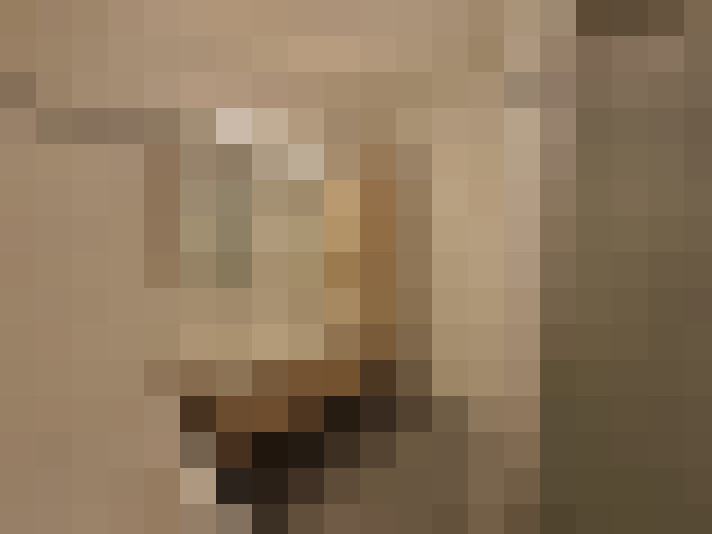  / #14