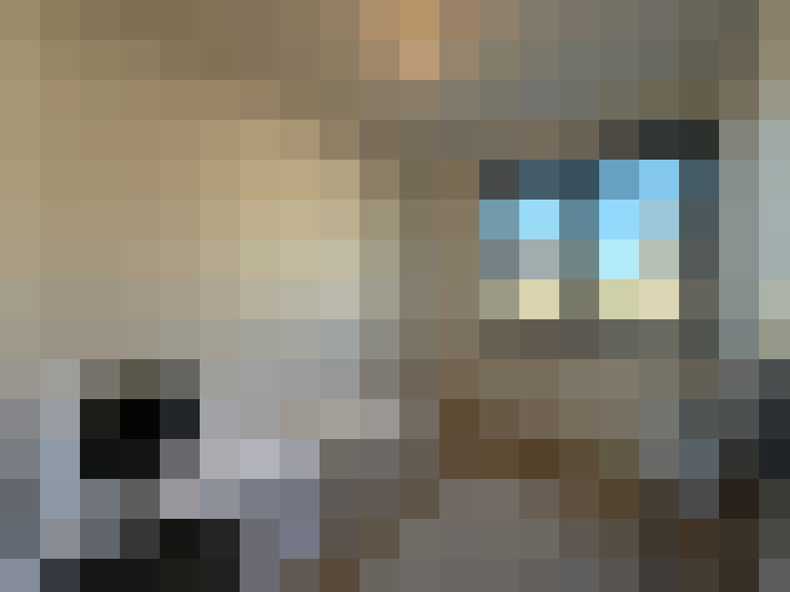  / #7