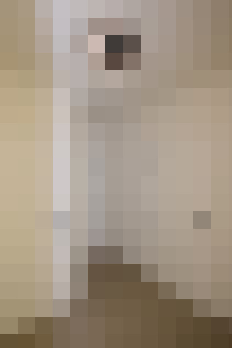 / #5
