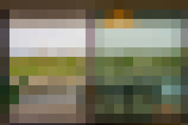  / #11