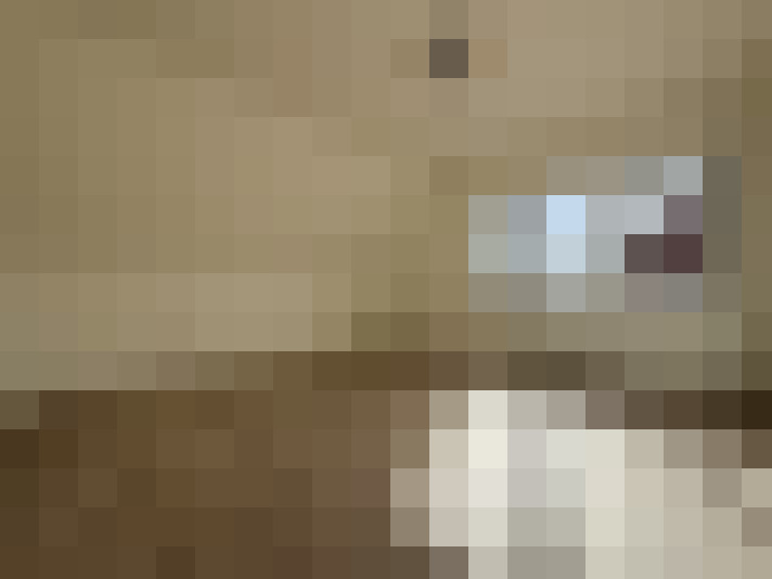  / #12