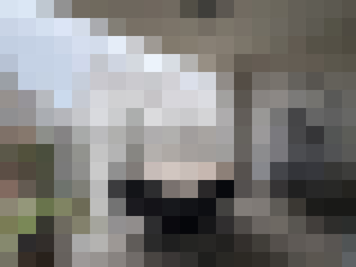  / #8