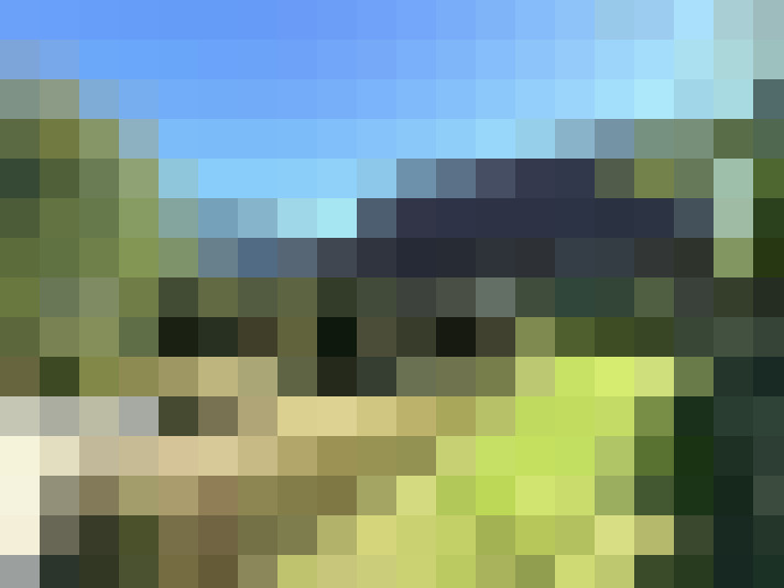  / #14