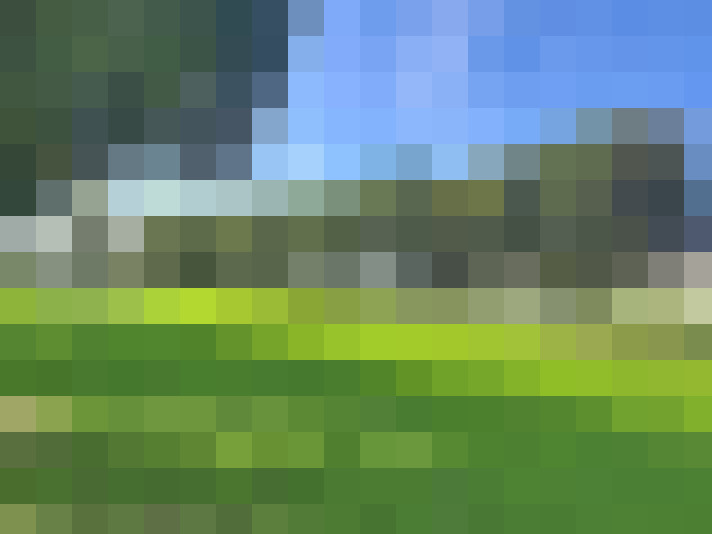  / #13