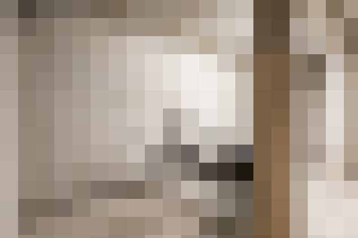  / #17