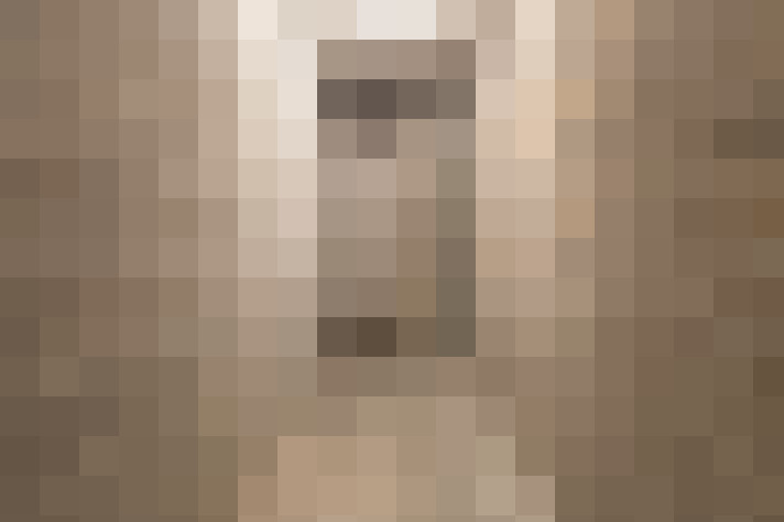  / #16