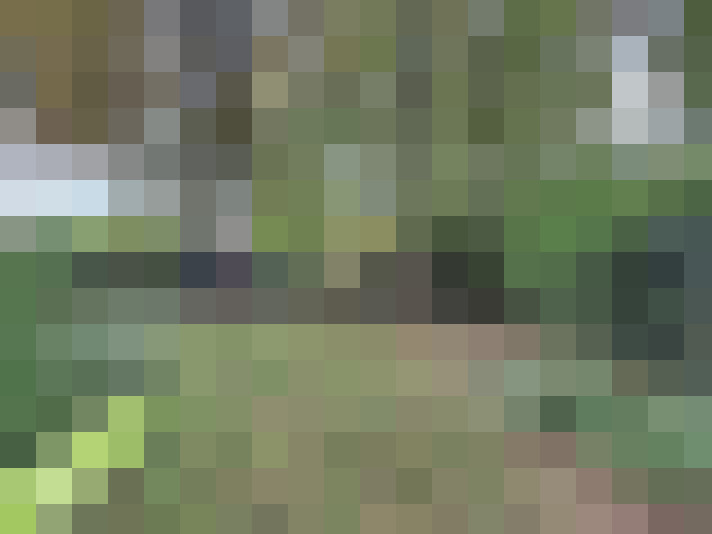  / #15