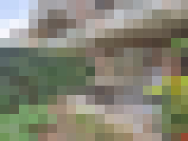  / #13