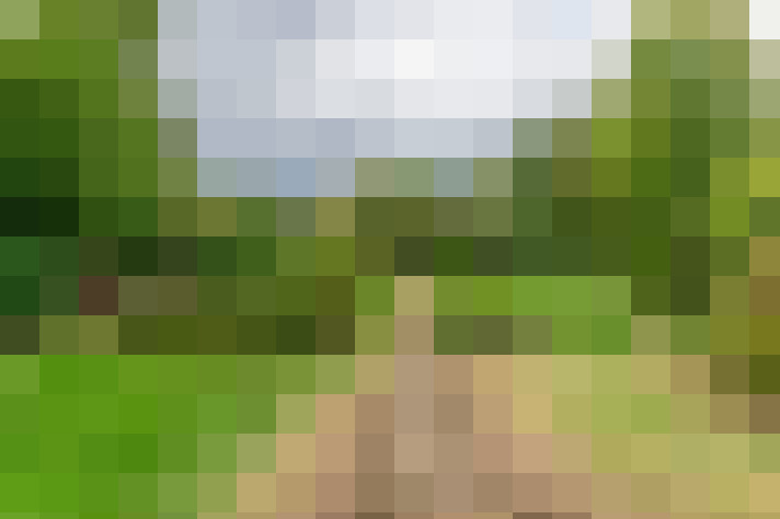  / #17