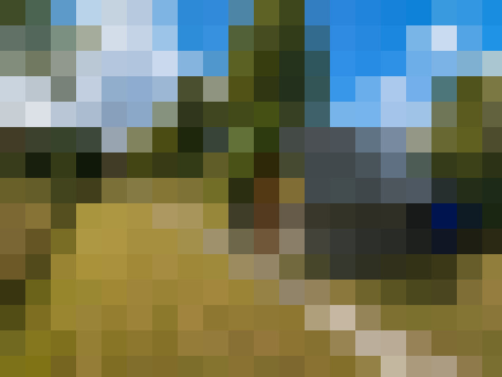  / #14