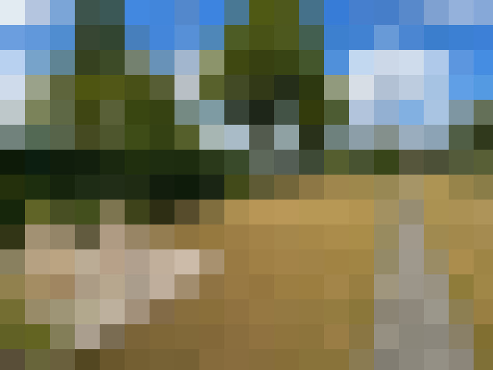  / #12
