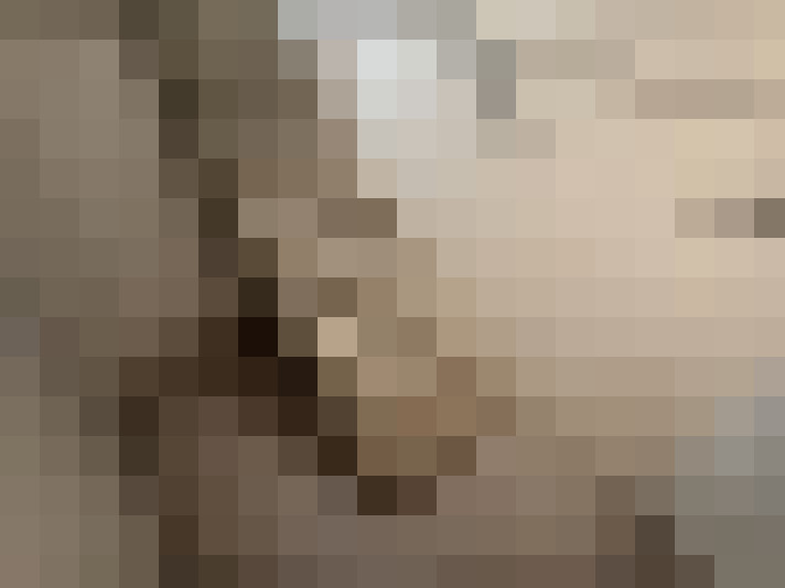  / #24