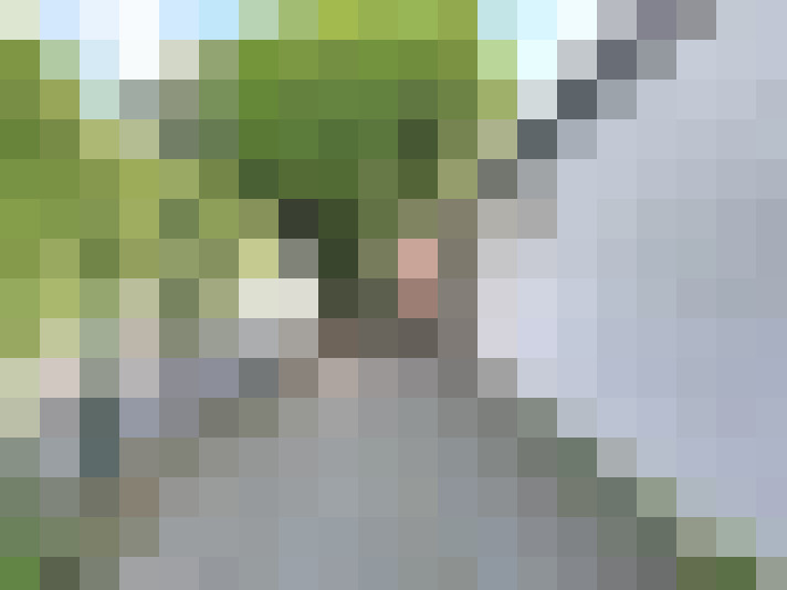  / #14