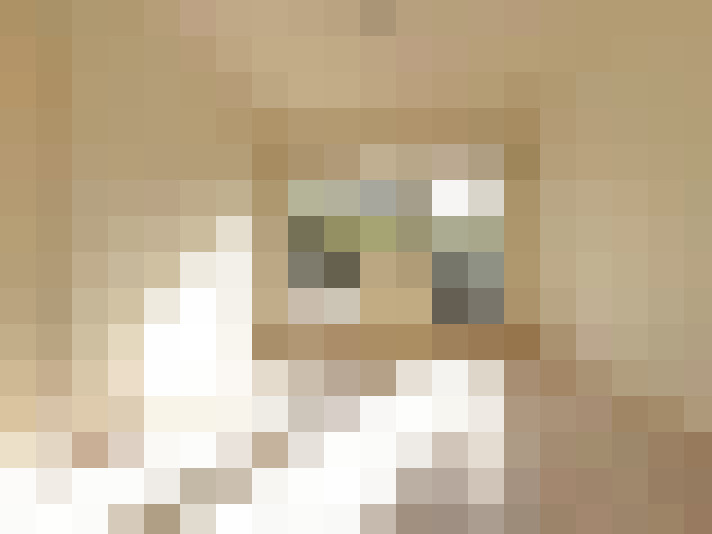  / #12