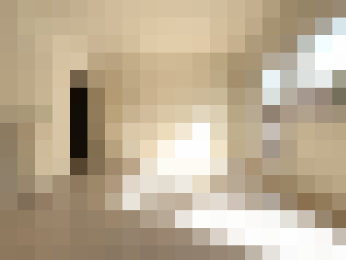  / #14