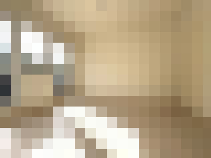  / #11