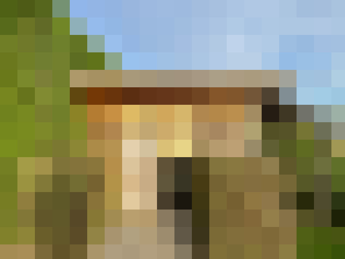  / #15