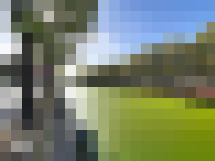  / #16