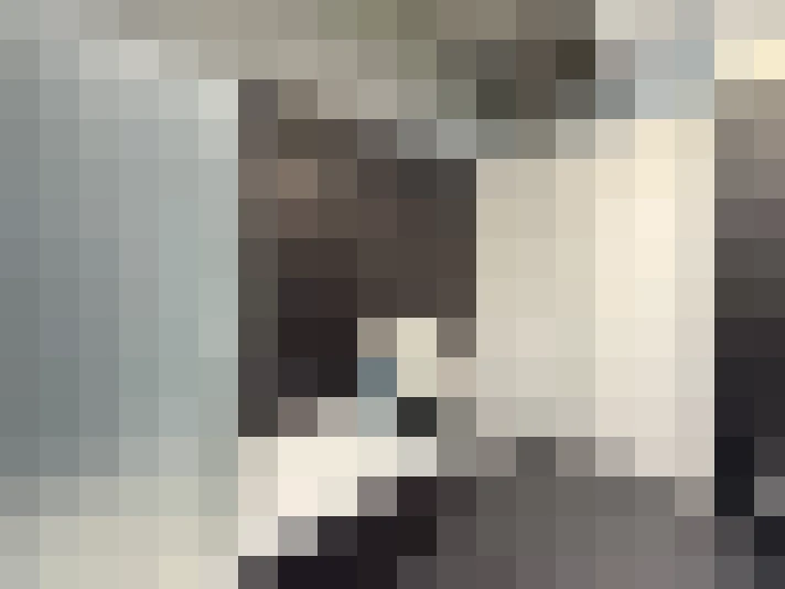  / #19