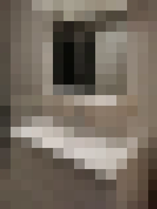  / #15