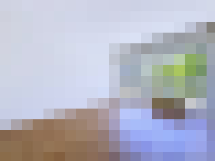  / #5