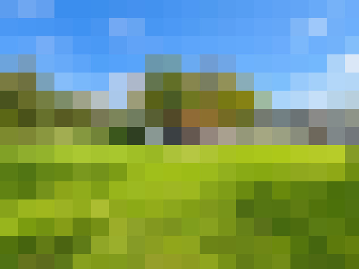  / #14