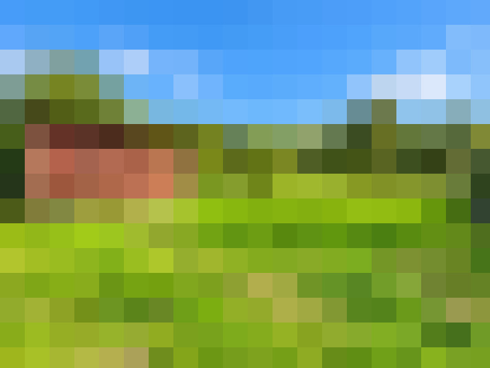  / #16