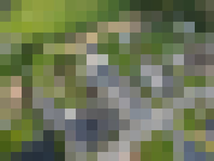  / #18