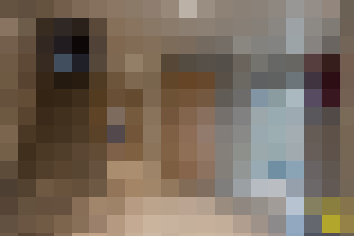  / #19