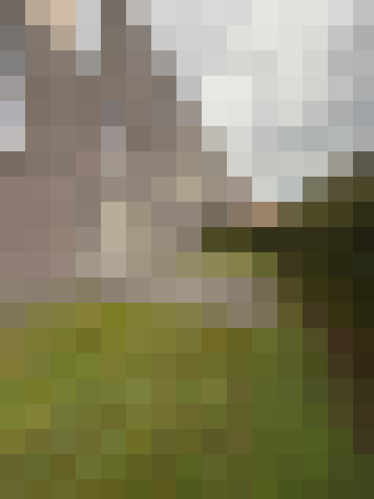  / #16