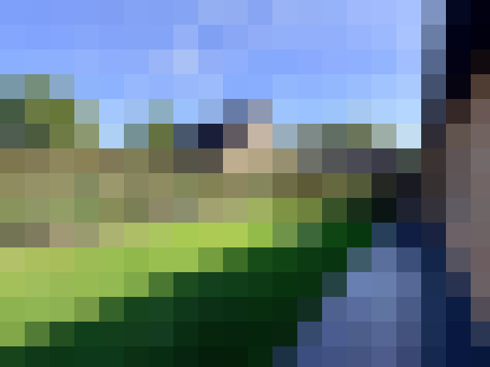  / #17