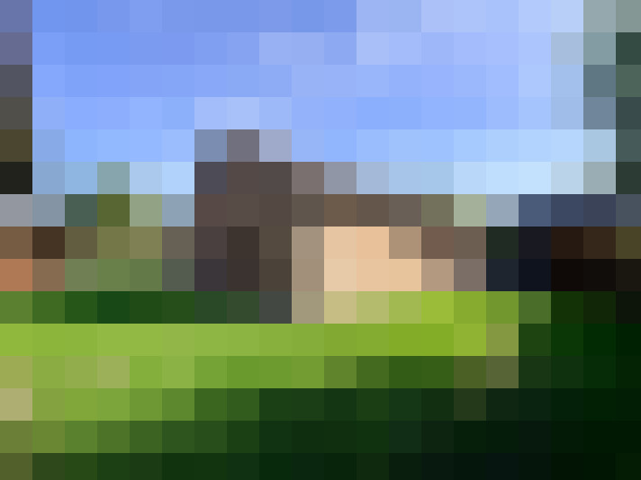  / #15