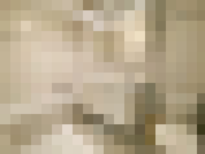  / #8