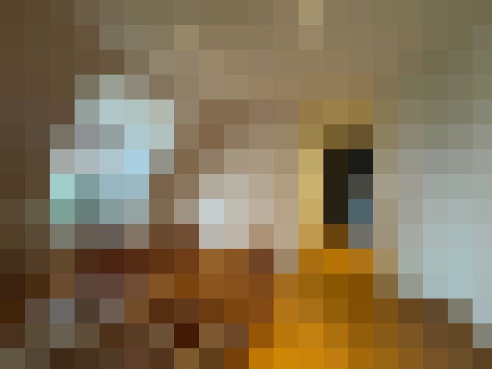  / #14
