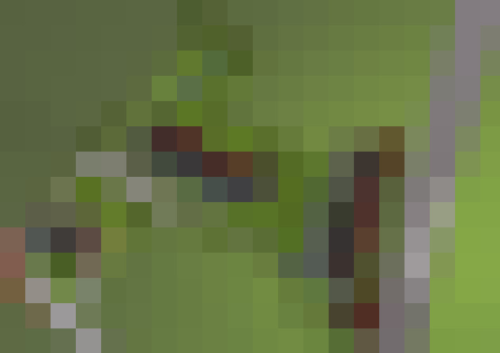  / #11