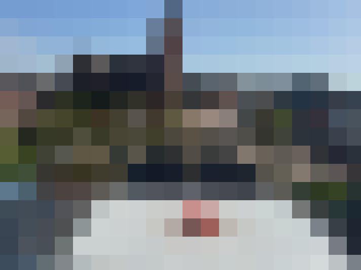  / #14